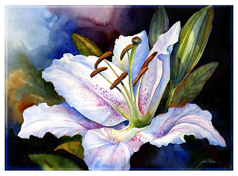 Lilly
